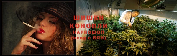 дмт Покровск